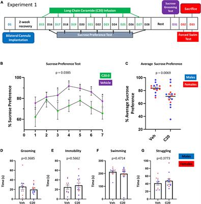Infusion of C20:0 ceramide into ventral hippocampus triggers anhedonia-like behavior in female and male rats